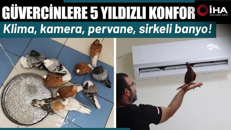 Diyarbakır'daki bir "güvercin oteli", yaz sıcaklarında sahipleri tarafından kiralanan odalarda