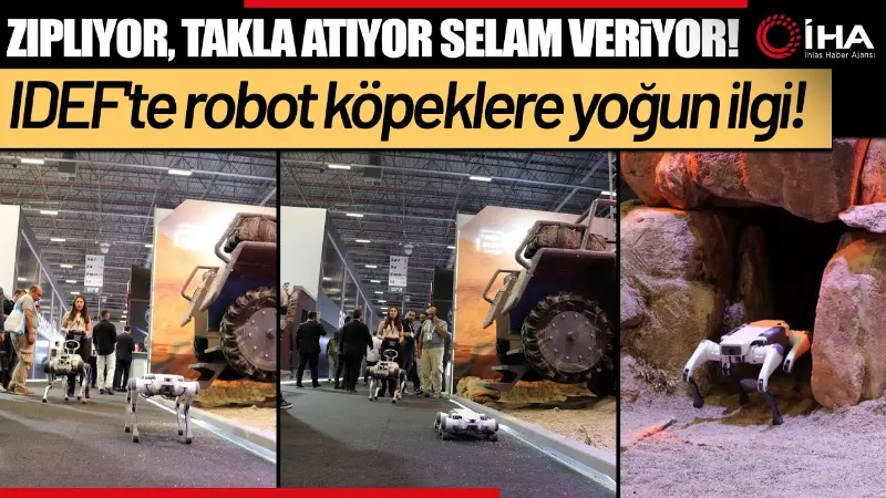 IDEF 2025'te BİTES Savunma tarafından sergilenen dört ayaklı robot köpekler,