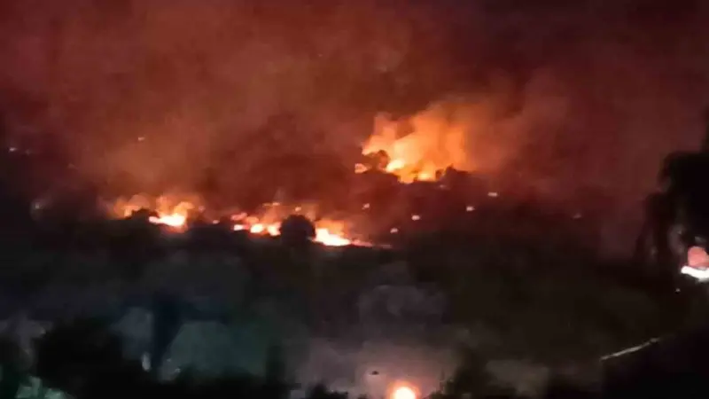 İzmir'in Dikili ilçesinde makilik alanda başlayıp rüzgarın etkisiyle ormana sıçrayan