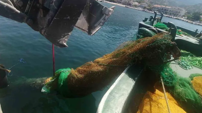 İzmir'in Karaburun açıklarında bir balıkçı teknesinin ağına takılan yaklaşık 2