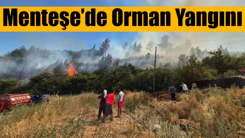 Muğla’nın Menteşe ilçesine bağlı Fadıl Mahallesi yakınlarında orman yangını çıktı.