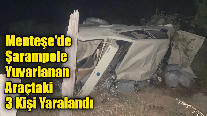 Muğla'nın Menteşe ilçesine bağlı Zeytinköy Mahallesi'nde gece saatlerinde meydana gelen