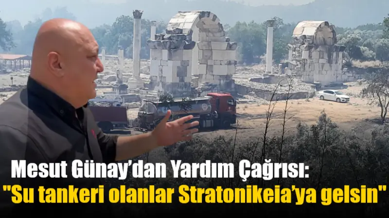 Muğla’nın Yatağan ilçesinde Eskihisar Mahallesi yakınlarında çıkan ve ormanlık alana