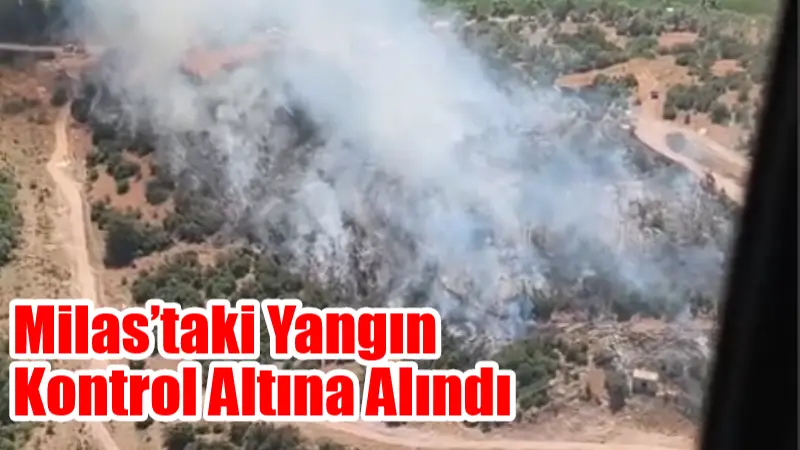 Muğla’nın Milas ilçesine bağlı Meşelik Mahallesi’nde ziraat alanında çıkan yangın