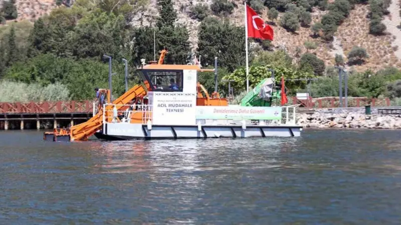 Muğla Büyükşehir Belediyesi, nesli tükenme tehlikesi altındaki Caretta caretta kaplumbağalarının