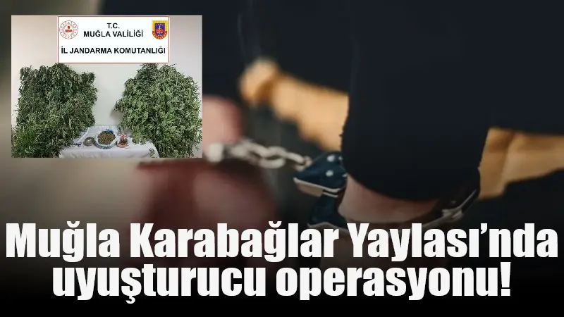 Muğla'nın Menteşe ilçesindeki Karabağlar Yaylası'nda düzenlenen operasyonda, 70 yaşındaki M.S.'nin