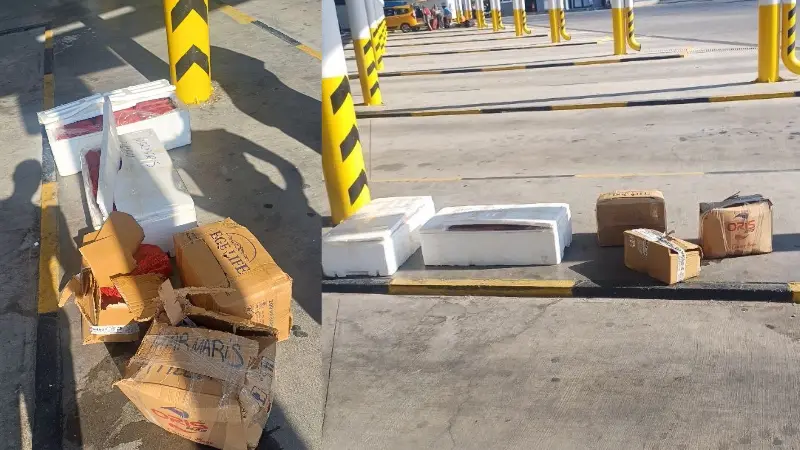 Muğla Şehirlerarası Otobüs Terminali'nde sahipsiz bulunan 5 koli midyeye gıda