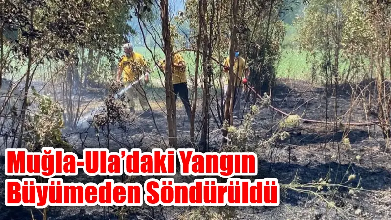 Muğla’nın Ula ilçesi Yeşilova mevkiinde çıkan ziraat yangını, orman ekiplerinin