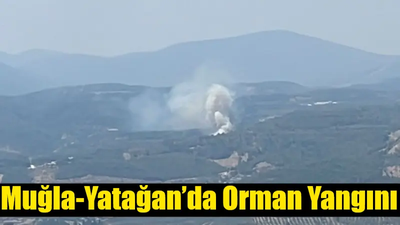 Muğla’nın Yatağan ilçesi Eskihisar Mahallesi yakınlarında saat 12.20 sıralarında çıkan