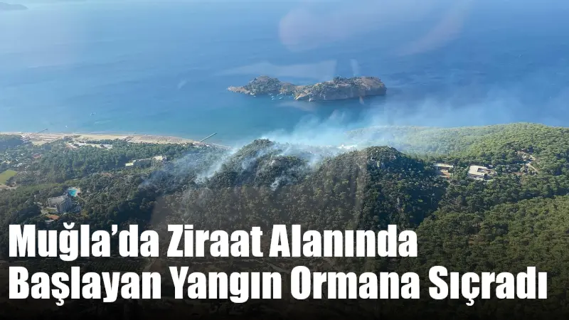 Muğla’nın Ortaca ilçesine bağlı Sarıgerme Mahallesi’nde sabah saatlerinde ziraat alanında