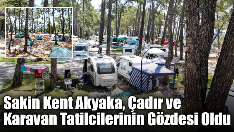 Muğla'nın sakin kenti Ula'daki Akyaka Gökova Konaklamalı Orman Kampı, çam
