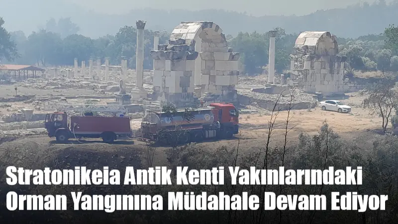 Muğla’nın Yatağan ilçesinde karayoluna yakın bir bölgede çıkan yangına havadan