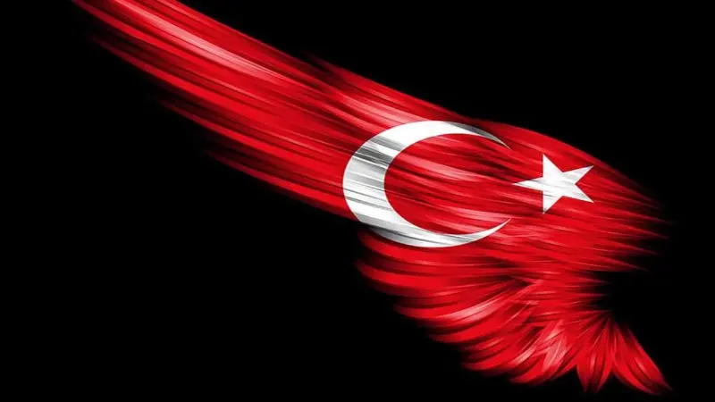 Türkiye, Eskişehir’in Seyitgazi ilçesinde başlayarak Afyonkarahisar’a sıçrayan orman yangınında hayatını