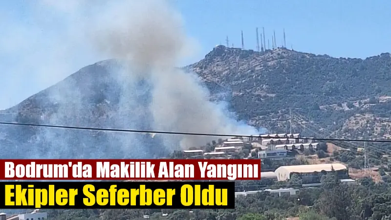Muğla'nın Bodrum ilçesine bağlı Yakaköy Mahallesi'nde çıkan ve rüzgarın etkisiyle