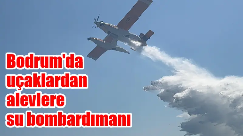 Muğla'nın Bodrum ilçesine bağlı Yakaköy Mahallesi'nde çıkan ve rüzgarın etkisiyle