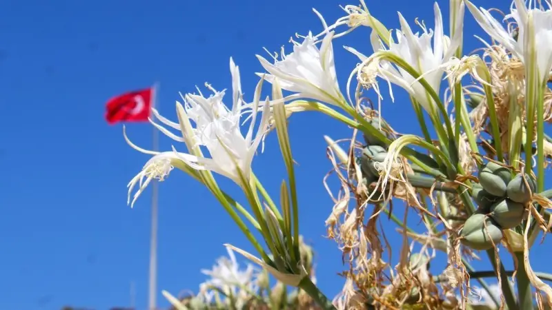 Ekosistemi Koruma ve Doğa Sevenler Derneği (EKODOSD) Başkanı Bahattin Sürücü,