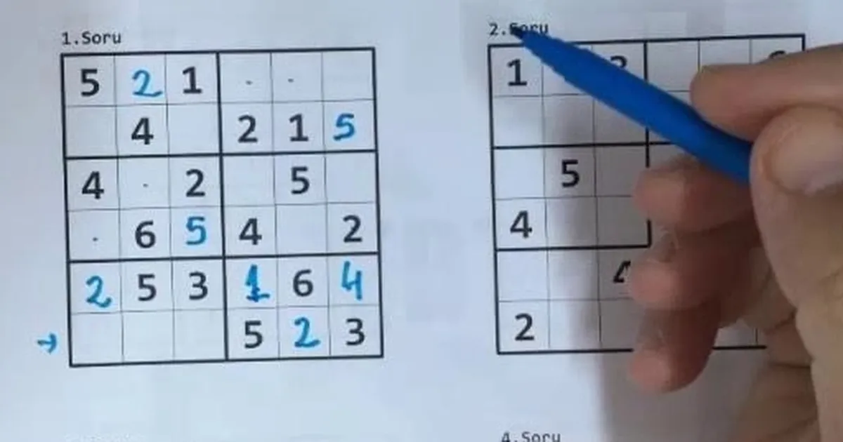 Nöroloji Uzmanı Prof. Dr. A. Oğuz Tanrıdağ, eski bilgileri hatırlamaya