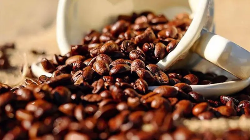Dubai merkezli Roasters adlı kahve zinciri, 13 Eylül'de Downtown Dubai'deki