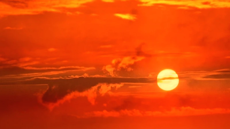 Dünya Meteoroloji Örgütü: 2025 kayıtlardaki en sıcak ikinci veya üçüncü yıl olacak