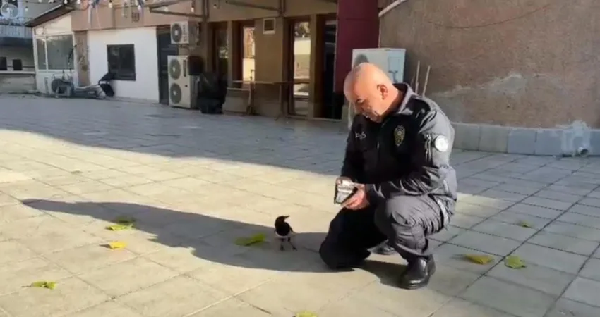 Ankara'da polis memuru Mustafa Şahin ile "Serkan" adındaki saka kuşu