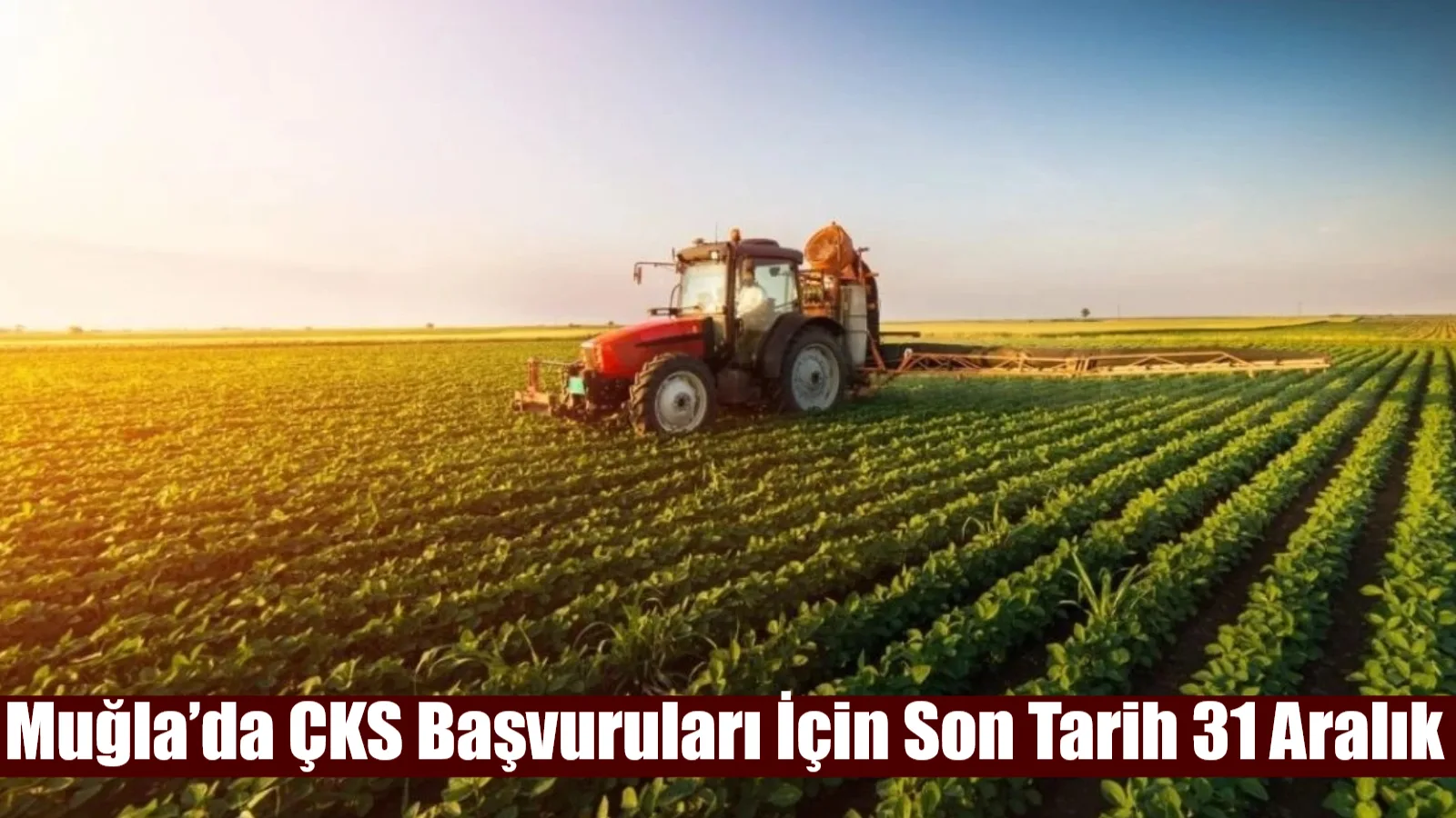 Muğla İl Tarım ve Orman Müdürlüğü, tarımsal desteklerden yararlanmak isteyen