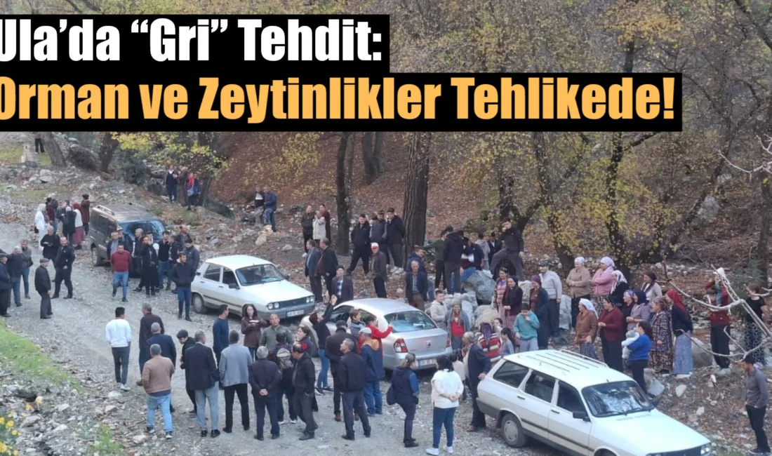 Muğla’nın Ula ilçesine bağlı Kavakçalı Mahallesi, son yılların en tartışmalı