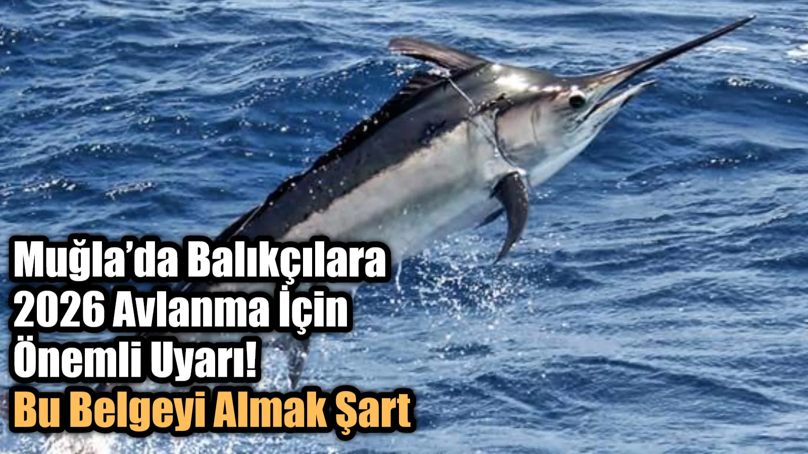 Muğla İl Tarım ve Orman Müdürlüğü, 2026 yılında kılıç ve