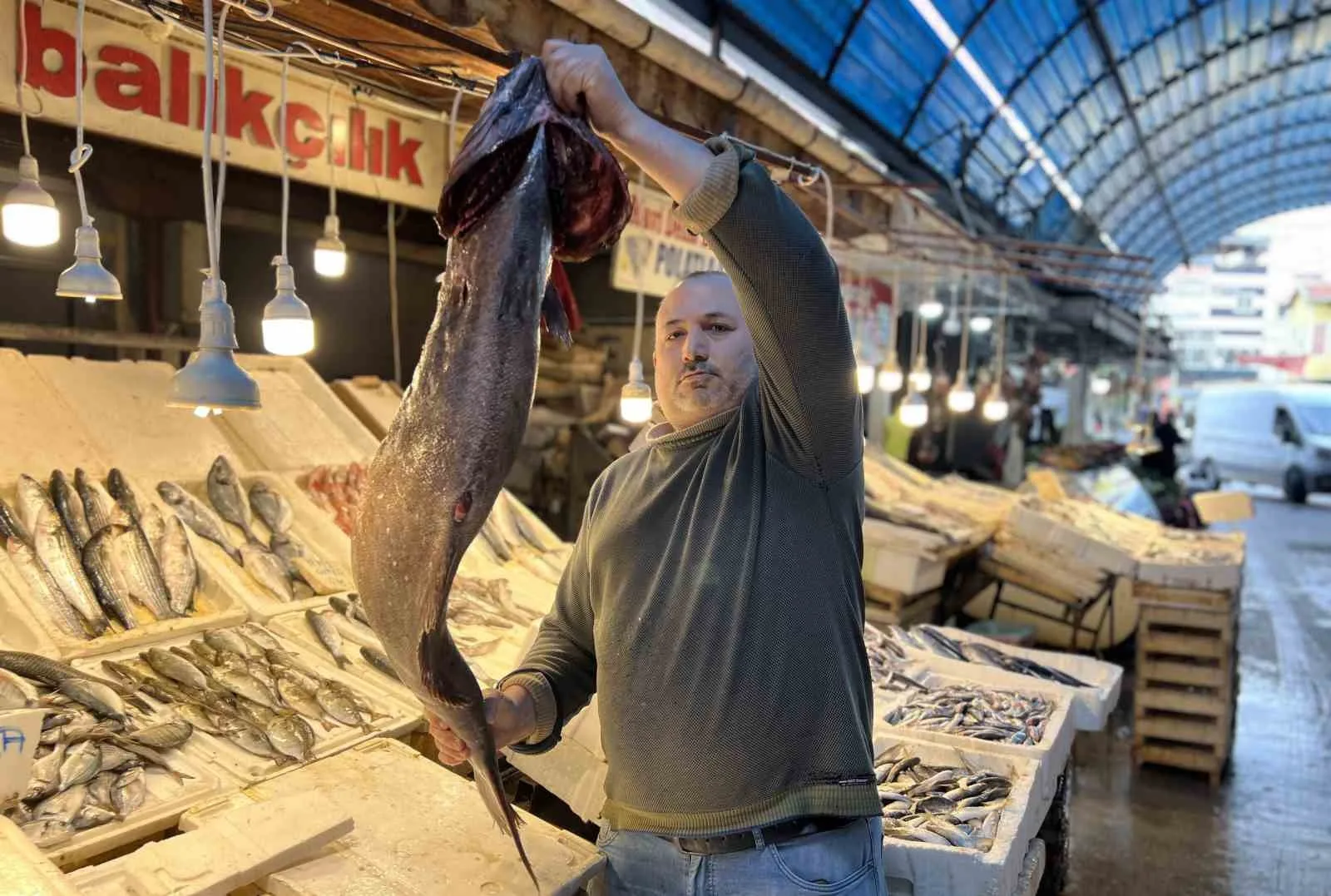 Mersin’de balıkçıların ağına takılan ve Akdeniz’de nadir görülen 1,5 metre