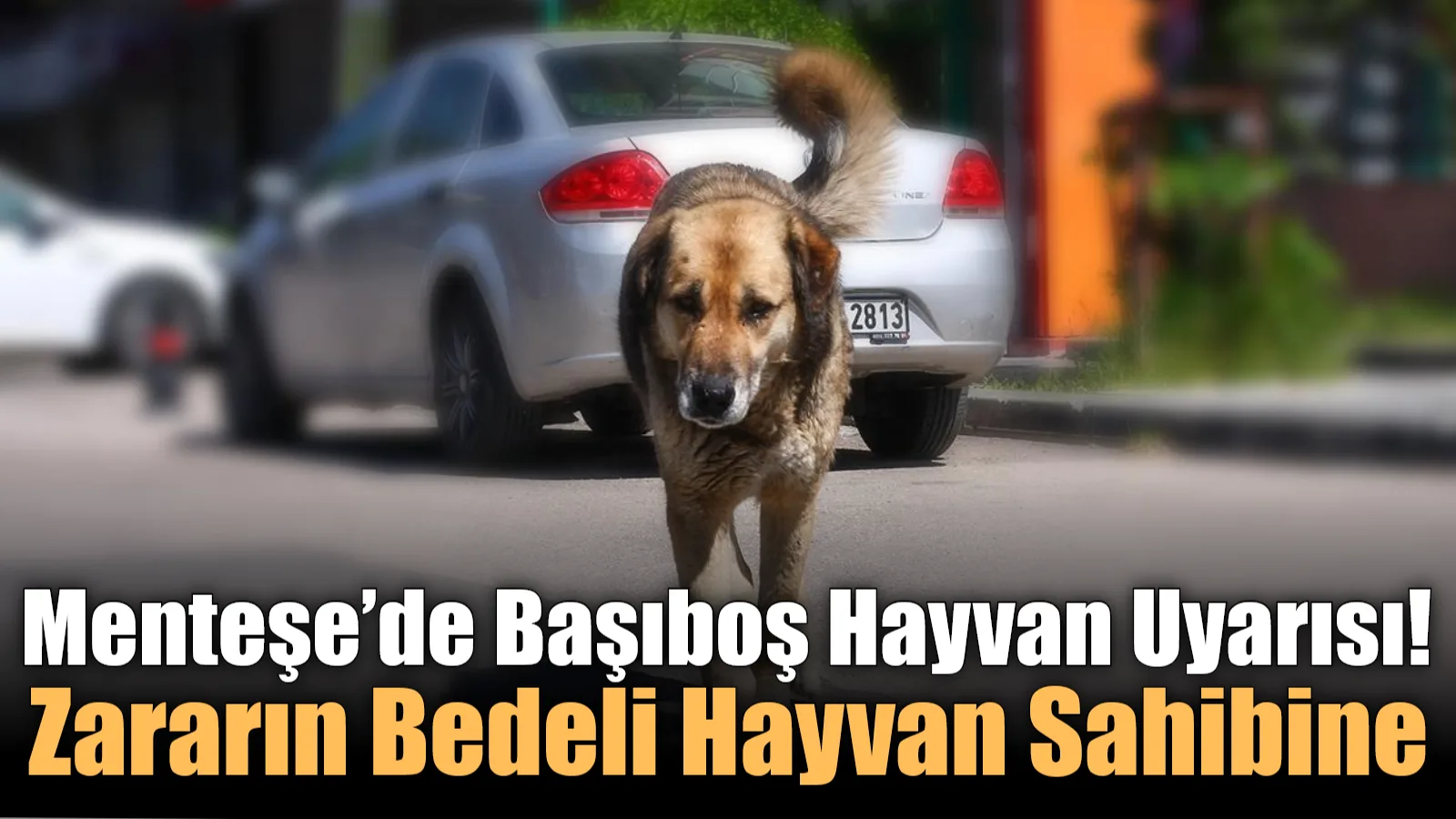 Menteşe İlçe Tarım ve Orman Müdürlüğü, tarım arazileri ile bağ