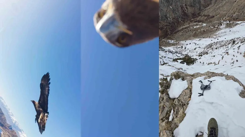 Tunceli’nin Ovacık ilçesinde çekim yapan bir drona saldırarak cihazı dağın