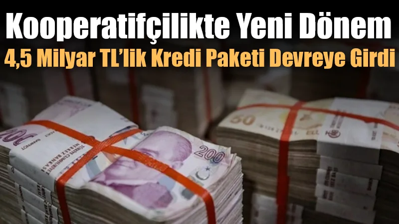 Ticaret Bakanlığı gözetiminde, Türkiye Esnaf ve Sanatkârlar Kredi ve Kefalet