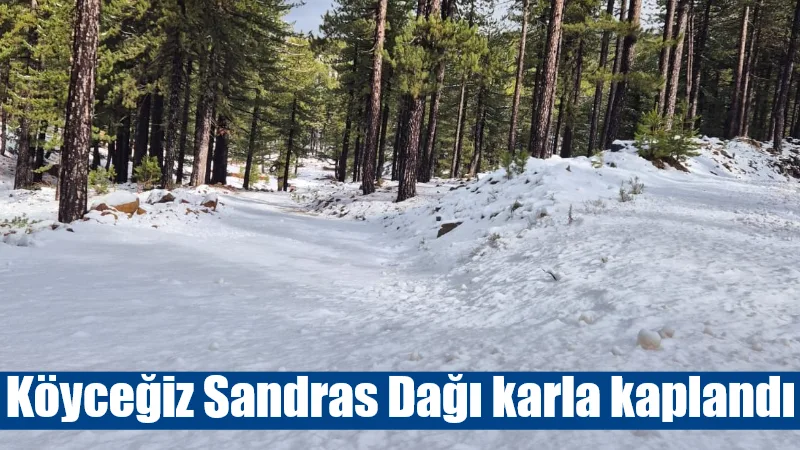 Muğla’nın Köyceğiz ilçesinde alçak kesimlerde yağmur ve güneşli hava etkili