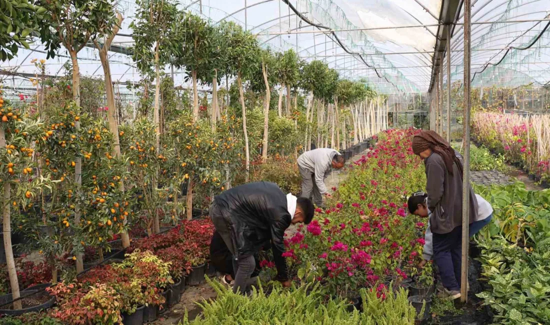 Muğla Büyükşehir Belediyesi tarafından Köyceğiz Beyobası’nda hayata geçirilen ‘Alım Garantili