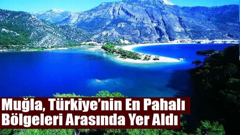 Türkiye İstatistik Kurumu’nun 2024 yılı Bölgesel Satınalma Gücü Paritesi verilerine