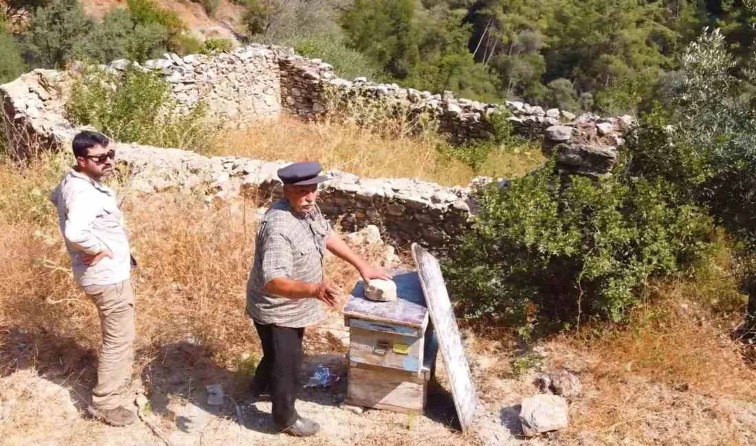 Muğla'da yaşanan büyük yangınlar sonrası, yaban hayatından korunmak amacıyla inşa