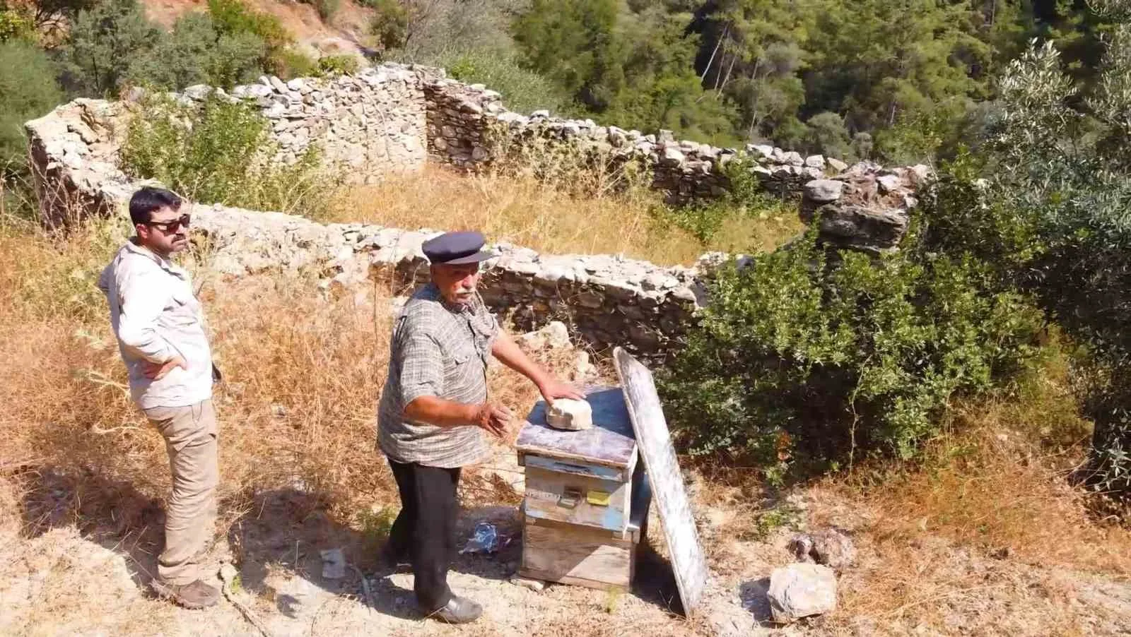 Muğla'da yaşanan büyük yangınlar sonrası, yaban hayatından korunmak amacıyla inşa