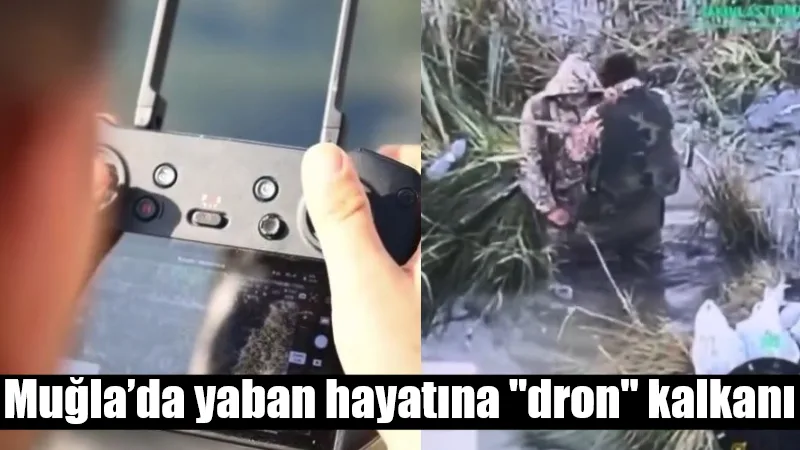 Muğla’da Doğa Koruma ve Milli Parklar ile jandarma ekipleri, yaban