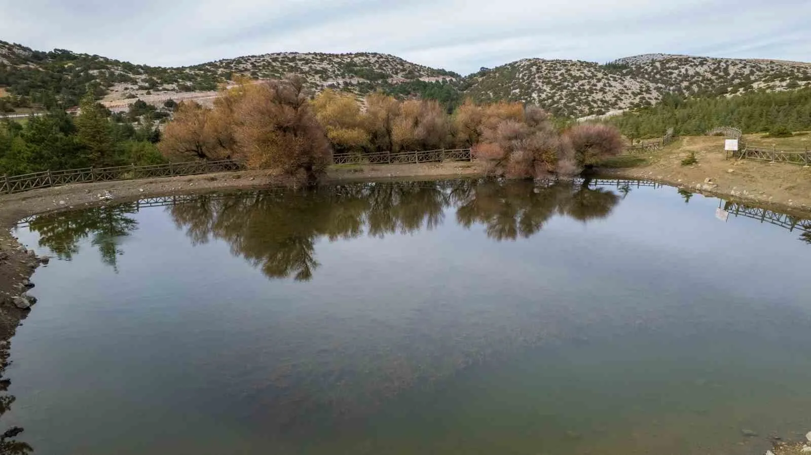 Manisa ve İzmir arasındaki Spil Dağı Milli Parkı'nda, aralık sonunda