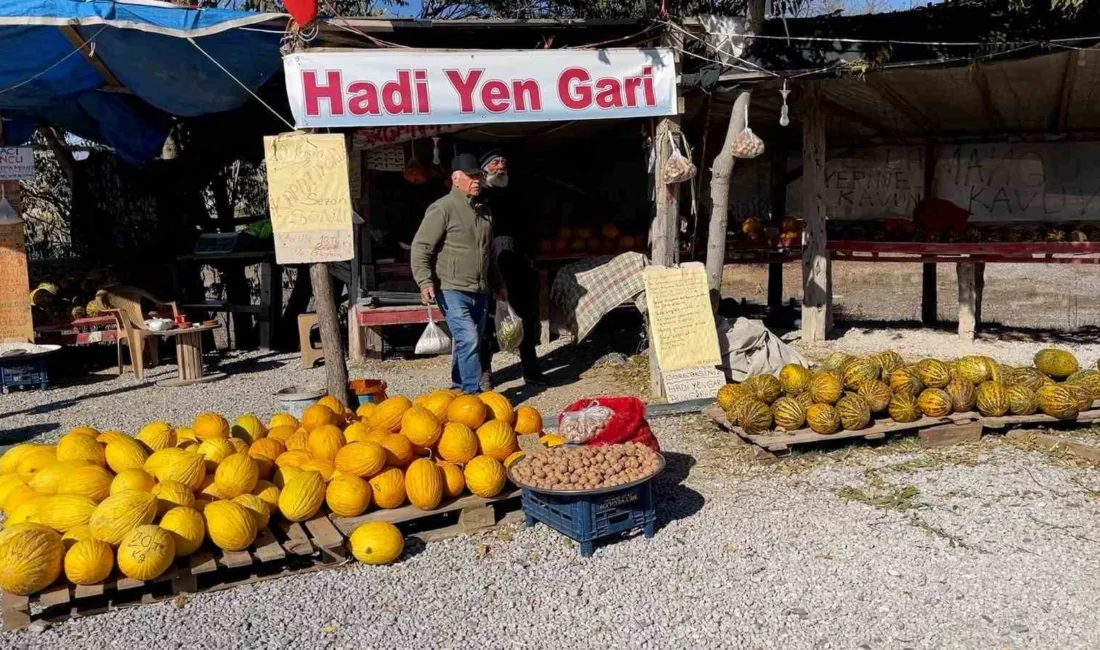 Denizli'de "araştırmacı kavuncu dede" olarak bilinen emekli mühendis Halit Tekin,