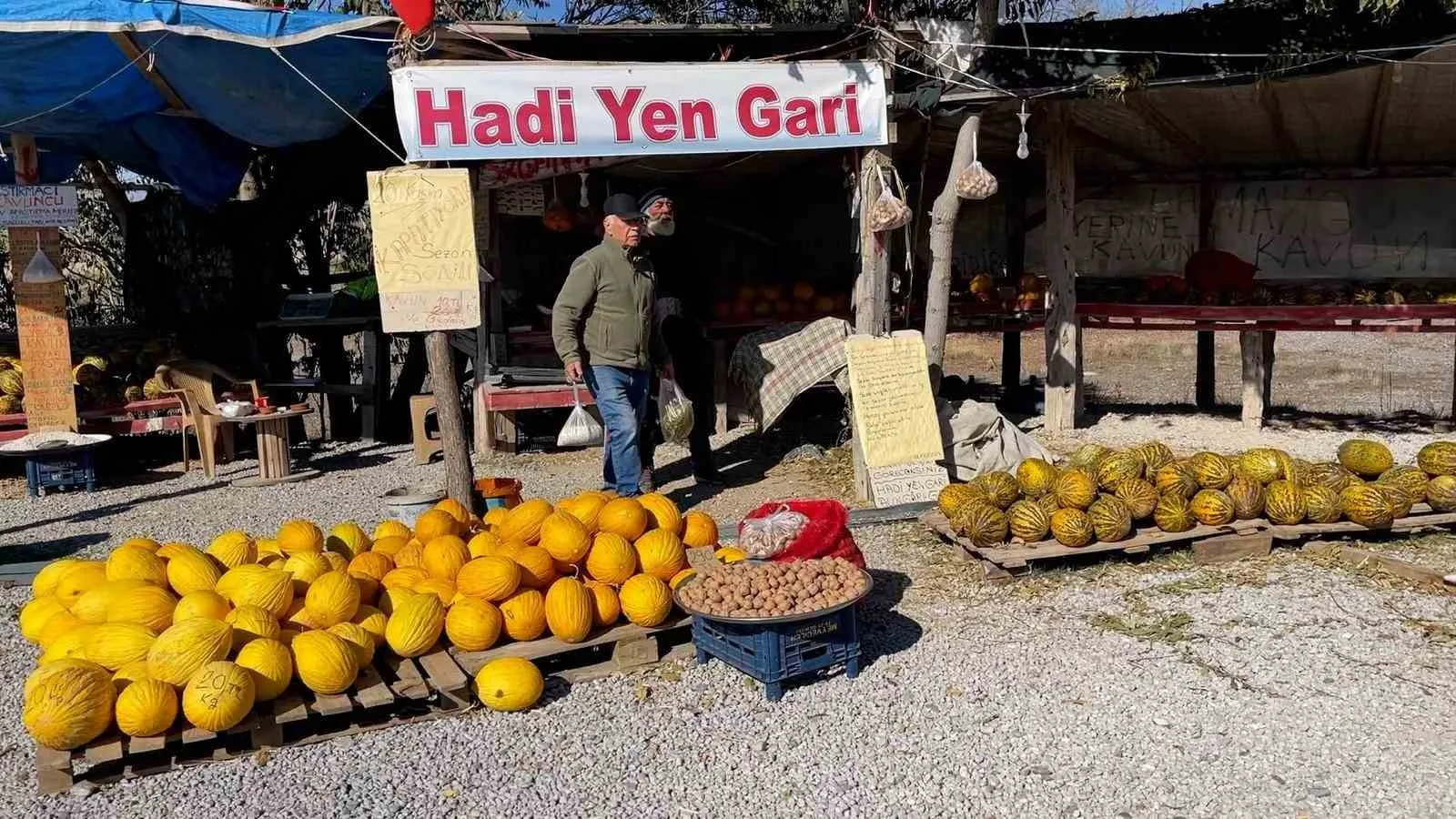Denizli'de "araştırmacı kavuncu dede" olarak bilinen emekli mühendis Halit Tekin,