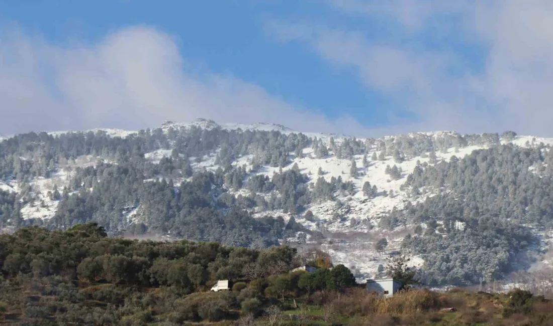 Aydın'da etkili olan sağanak yağışın ardından yüksek kesimlerde kar yağışı