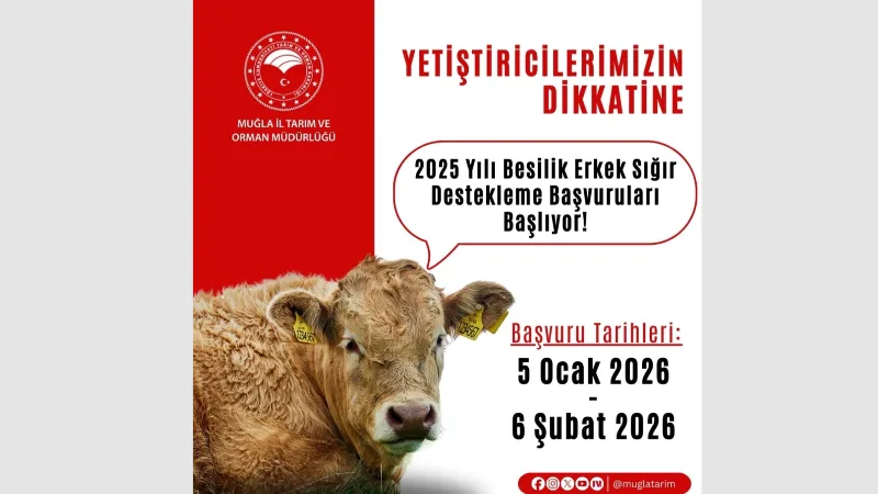 Muğla İl Tarım ve Orman Müdürlüğü, 2025 yılı Besilik Erkek