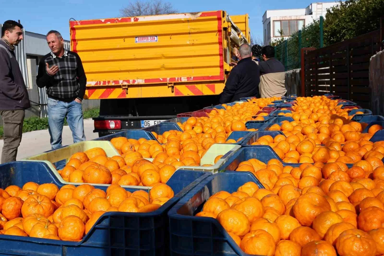 Bodrum Belediyesi ve Belediye A.Ş., Bodrum Mandalini’ni Türkiye geneline ulaştırmak