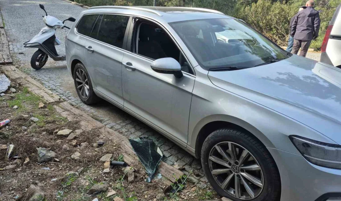 Muğla'nın Bodrum ilçesinde, park halindeki 4 araçtan hırsızlık yapan Ö.A,