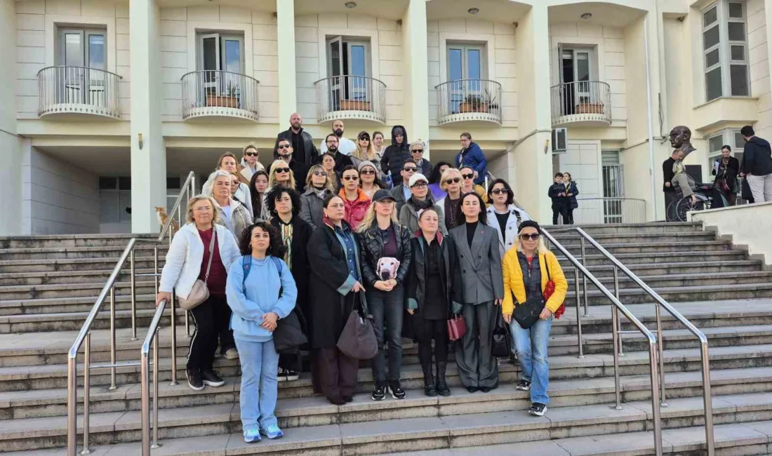 Muğla’nın Bodrum ilçesinde "Çinko" isimli köpeğin otomobille ezilerek ölümüne neden