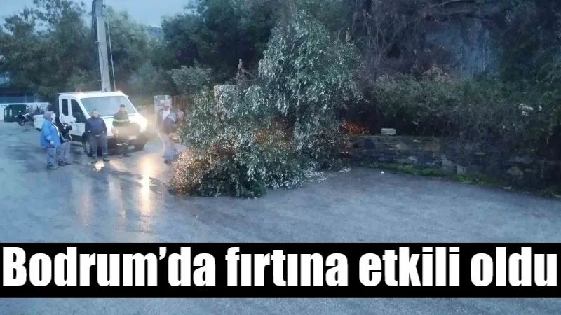 Bodrum'da dünden beri etkili olan şiddetli fırtına ağaçların devrilmesine, teknelerin