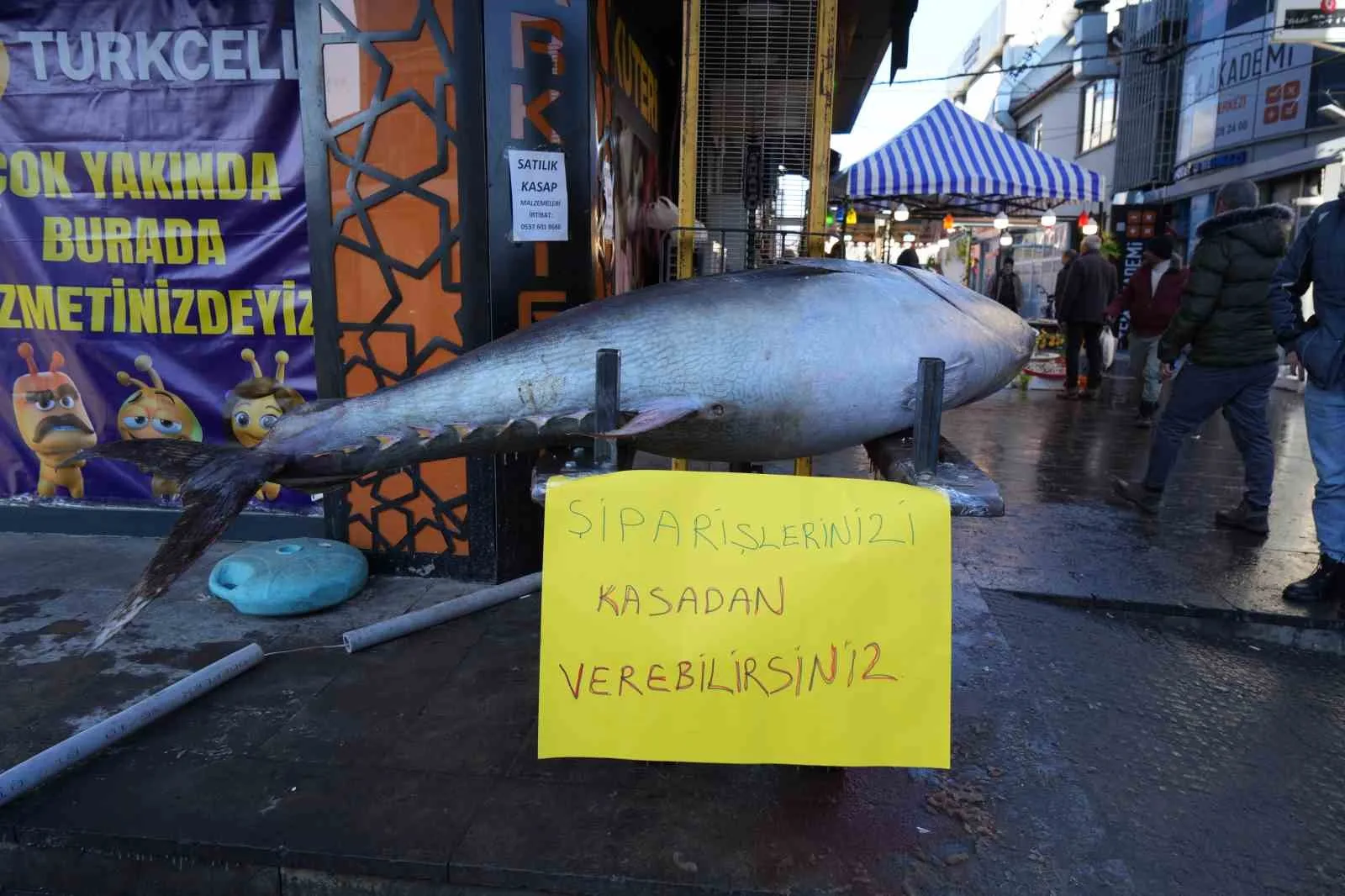 Atlantik Okyanusu’ndan avlanan 365 kiloluk dev orkinos Erzincan’da balık tezgâhında