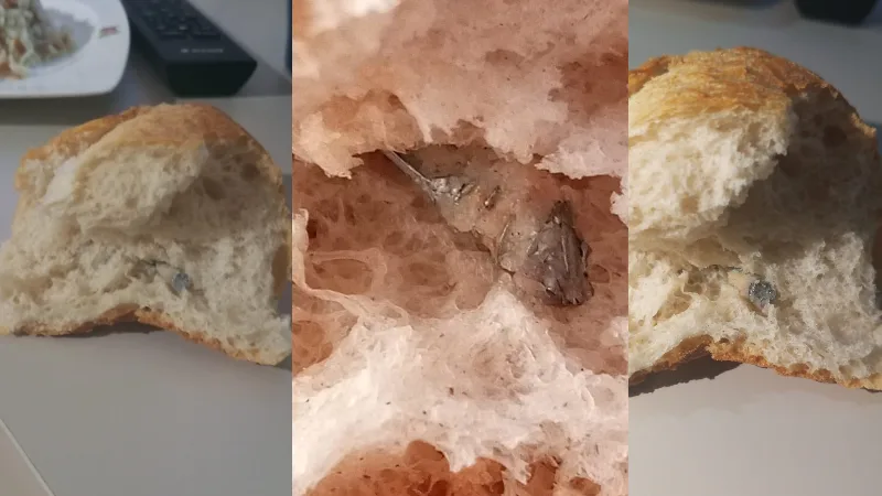 İzmir’in Konak ilçesinde bir fırından alınan ekmeğin içinden yaklaşık 3