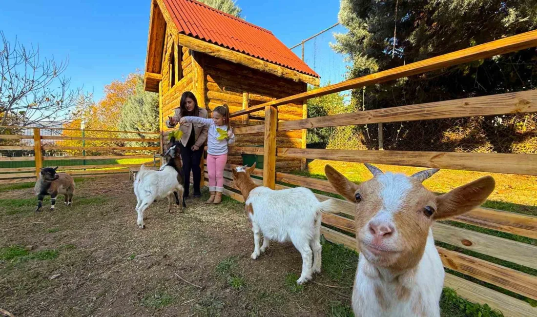Kocaeli’deki Atlantis Özel Eğitim ve Rehabilitasyon Merkezi, özel çocuklar için