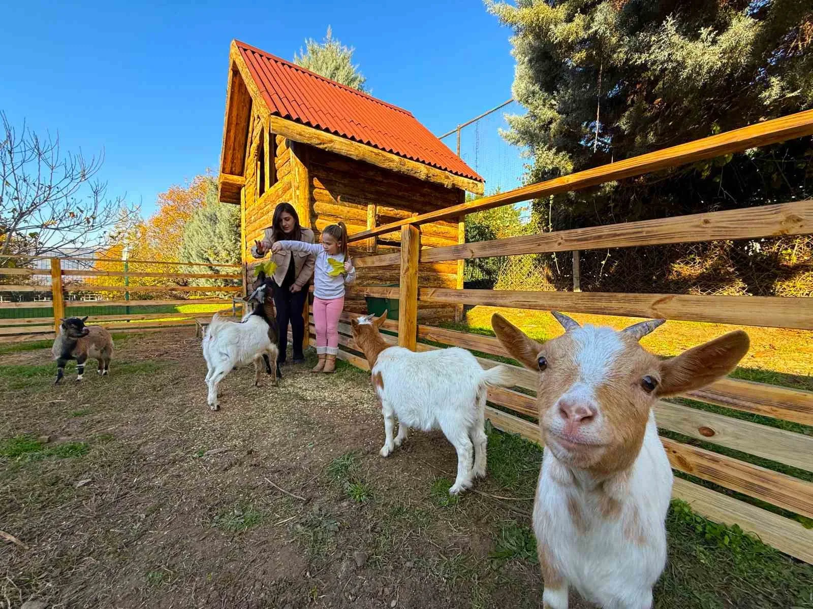 Kocaeli’deki Atlantis Özel Eğitim ve Rehabilitasyon Merkezi, özel çocuklar için
